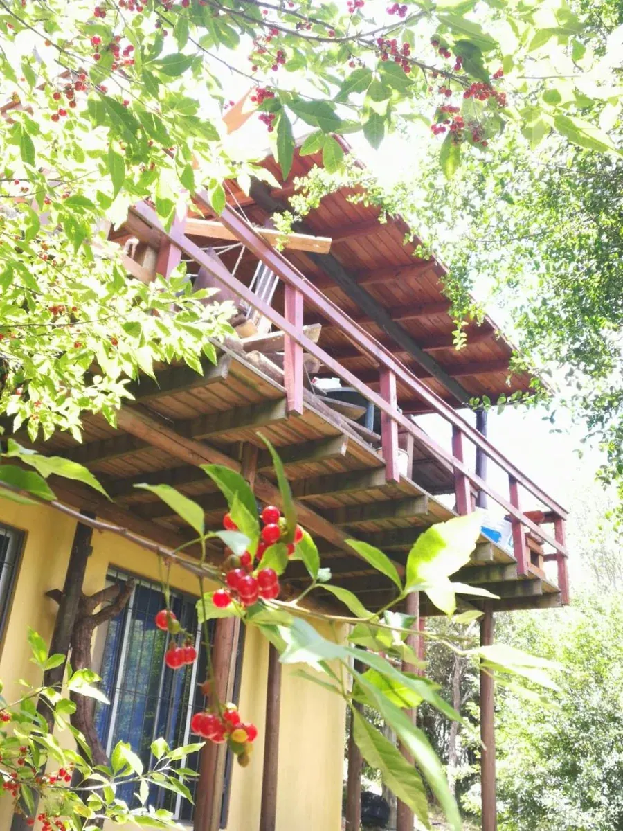 Balcón de madera y exterior de Los Pololos