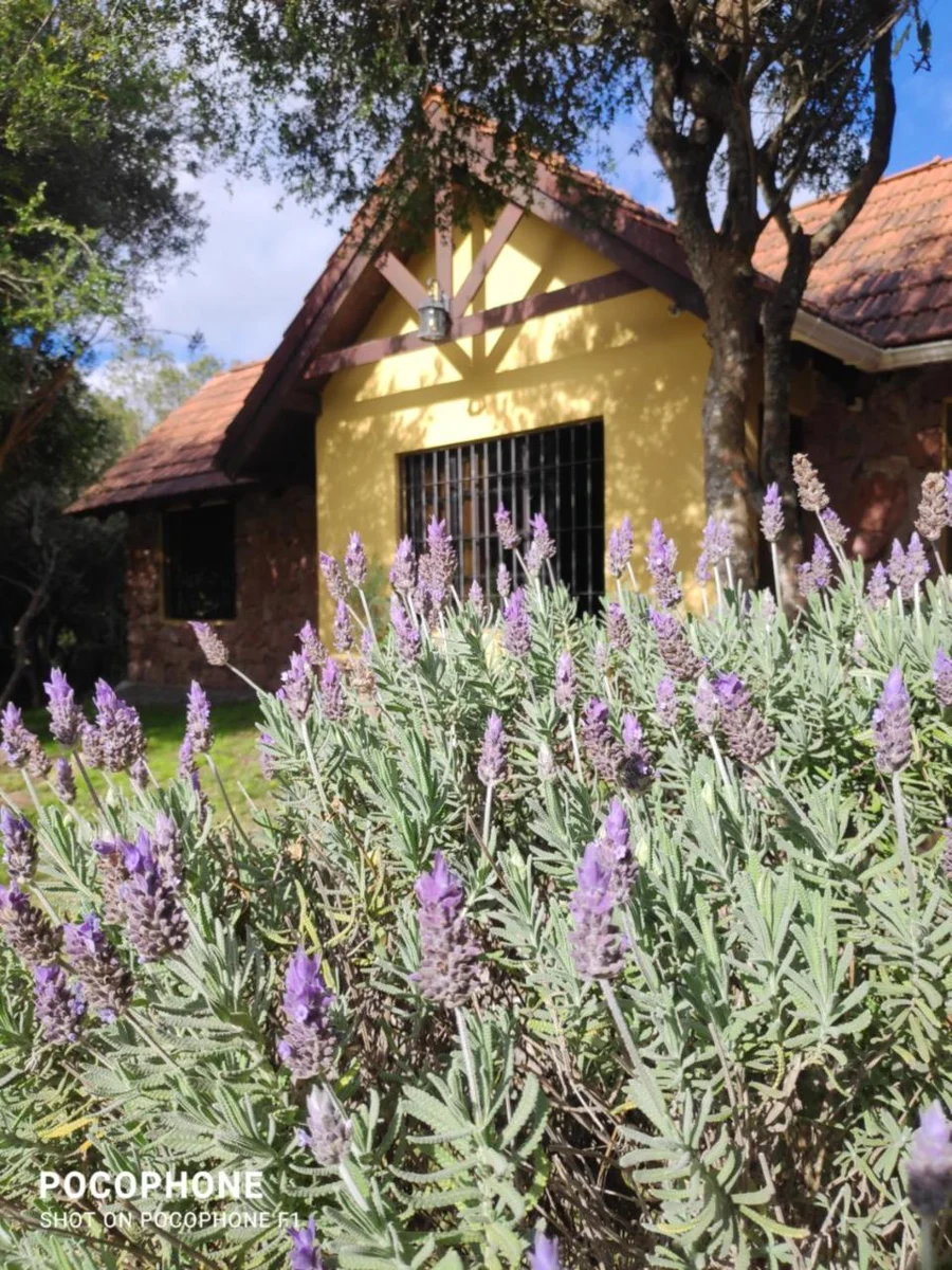 Fachada de Los Pololos entre plantas y flores